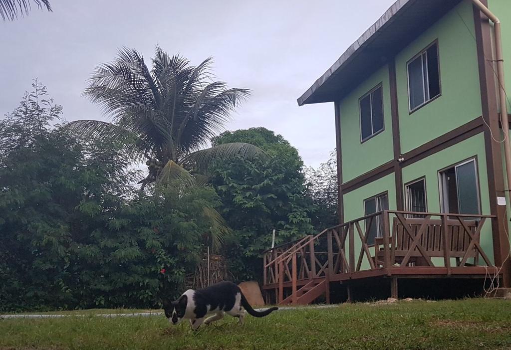 Apartamento Flat Do Indio Fernando de Noronha Exterior foto